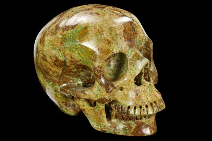 Realistic, Polished Autumn Jasper Skull #127611